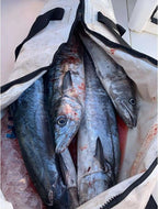 Additional view of 84QT Fish Cooler Bag with Flat Bottom